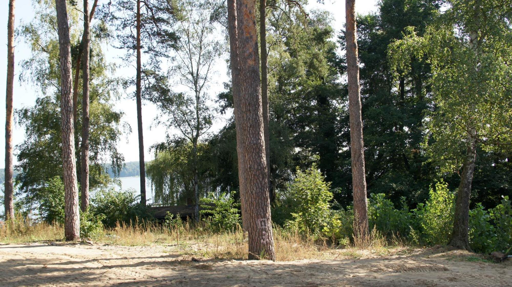 Marina Maisonette Seeblick Mit Pool Und Sauna Bad Saarow Esterno foto