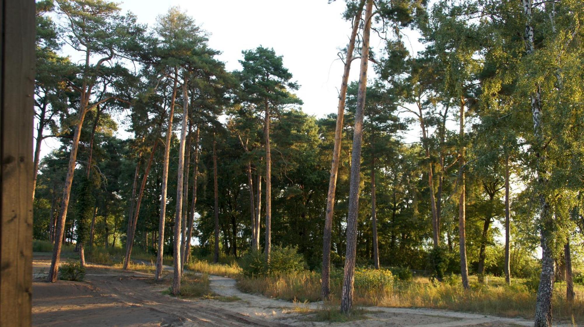 Marina Maisonette Seeblick Mit Pool Und Sauna Bad Saarow Esterno foto