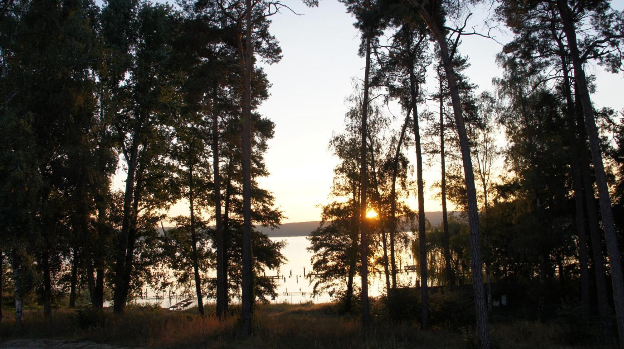Marina Maisonette Seeblick Mit Pool Und Sauna Bad Saarow Esterno foto